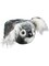 Marsupials Animal Australian Plush Koala Bear Polyester Hat Costume Accessory